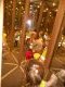 dscn1716