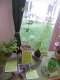 dscn2620