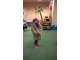 wp_20170914_15_27_20_pro