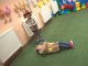 wp_20170914_15_28_16_pro