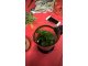 wp_20170927_10_56_35_pro