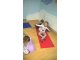 wp_20171005_10_21_40_pro