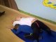 wp_20171005_10_23_52_pro