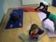 wp_20171005_10_36_02_pro