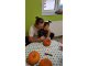 20171031_161645