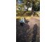 wp_20171026_10_29_20_pro
