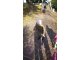 wp_20171026_10_33_29_pro