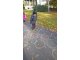 wp_20171026_10_44_12_pro