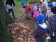 wp_20171026_11_02_44_pro