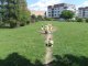img-073